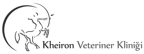 Kheiron Veteriner Kliniği Logo